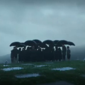 麻豆91成人免费短视频在线下载观看
